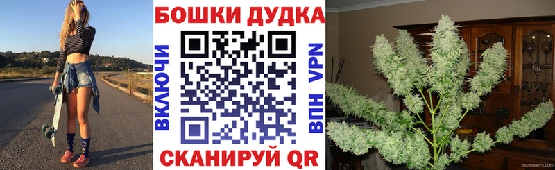 Конопля планчик  Купить закладки  Тбилисская 